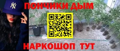 apvp Бийск