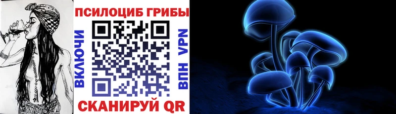 Псилоцибиновые грибы Psilocybine cubensis  Новоуральск 