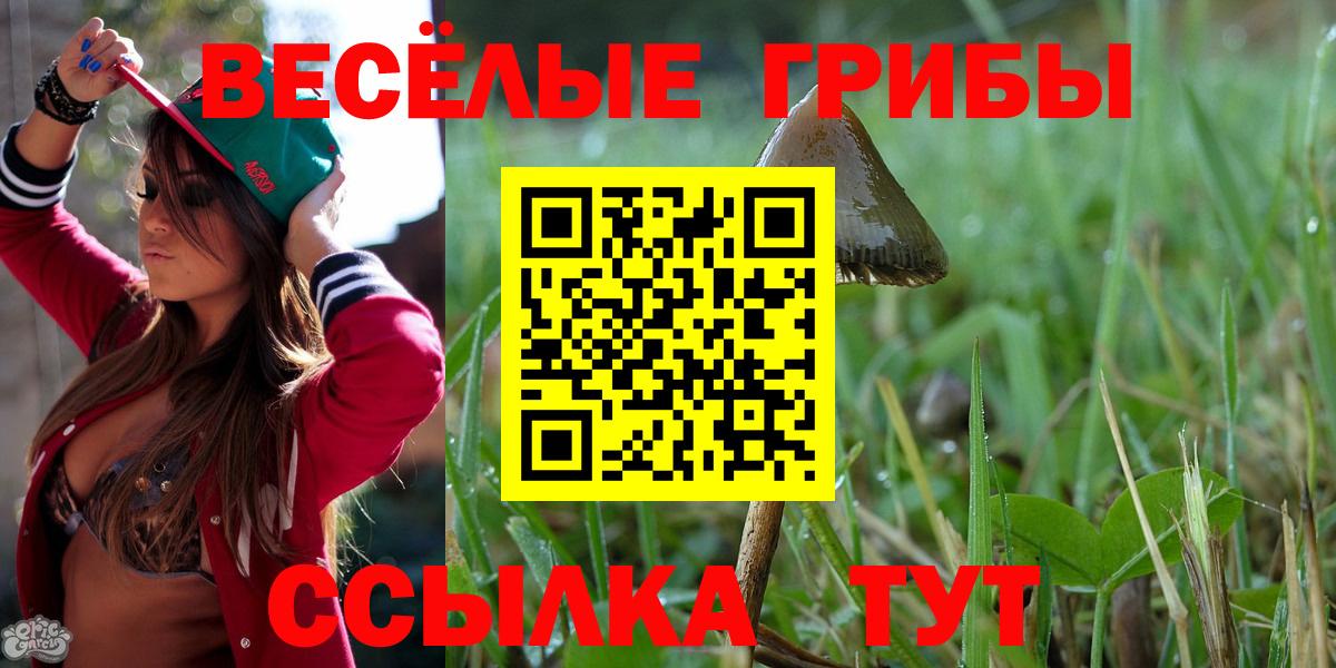 Псилоцибиновые грибы мухоморы  Вход с VPN  Новоуральск 